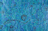Blue Rain – Original Aboriginal Painting